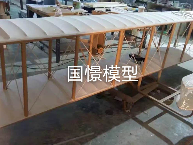 武川县飞机模型